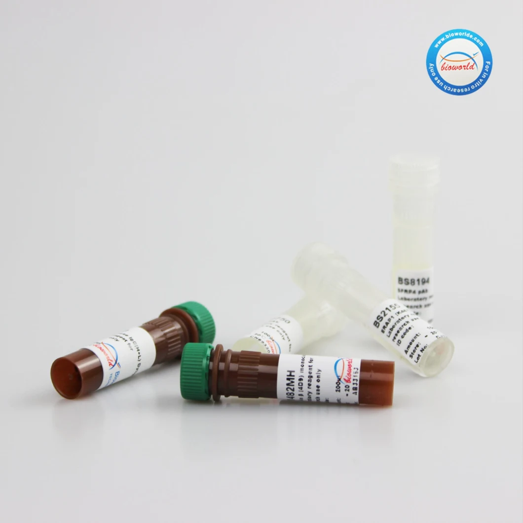 CE, ISO9001 Approved V5-Tag Monoclonal Antibody