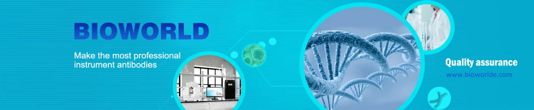 Recombinant Herpes Simplex Virus Protein-1