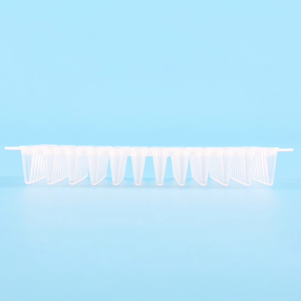 0.1ml PCR Plate Non Skirt New Model Lab Consumables