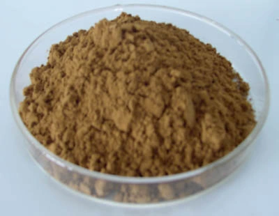 Maiitake Mushroom Extract 30% Polysaccharides for Functional Food