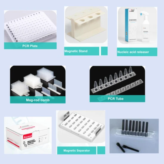Automatischer Nukleinsäure-Extraktor, hochpräzise, ​​stabile Einweg-Verbrauchsmaterialien