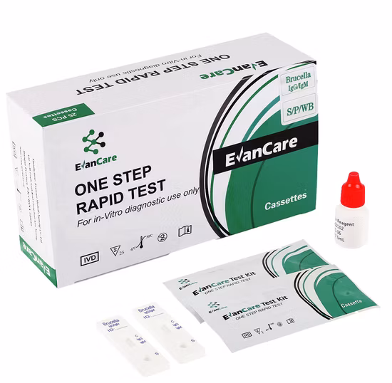 100UL Ziegen-Anti-Kaninchen-Sekundärantikörper