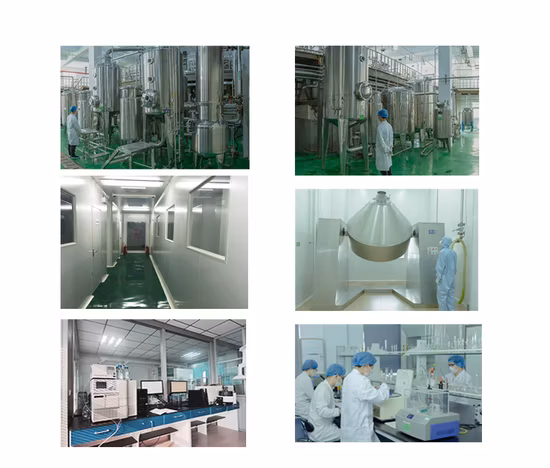 Liefern Sie Baikal-Helmkraut-Extrakt, Baicalin-Pulver